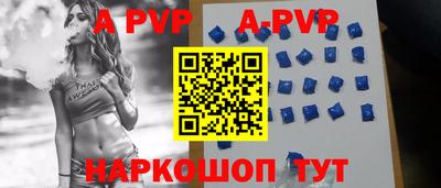 тгк Новодвинск