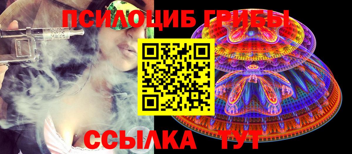 Псилоцибиновые грибы Psilocybine cubensis Прокопьевск