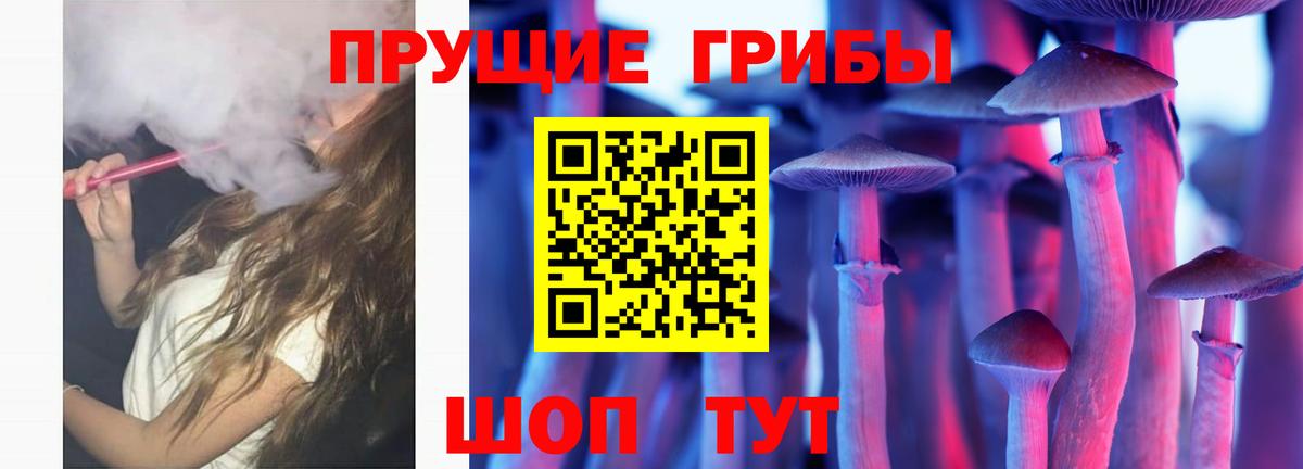 Псилоцибиновые грибы Cubensis  Вход с VPN  Галлюциногенные грибы GOLDEN TEACHER  Прокопьевск 